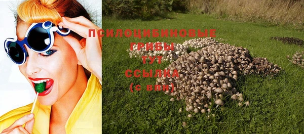 a pvp Абдулино