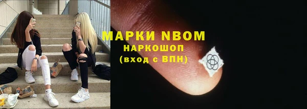 стаф Покачи
