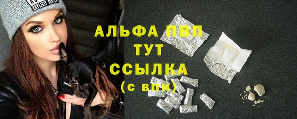 прущие крисы Абаза
