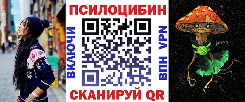 shop Telegram  Анадырь  Галлюциногенные грибы Magic Shrooms  где купить наркоту 